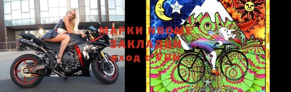 эйфоретик Алзамай